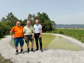 Neues Biotop für Wildtiere und Insekten